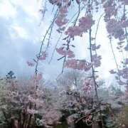 ヒメ日記 2025/04/01 10:13 投稿 磯部　まき Eureka！EGOIST～エゴイスト～-美とエロスの饗宴