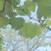 ヒメ日記 2025/05/06 18:40 投稿 磯部　まき Eureka！EGOIST～エゴイスト～-美とエロスの饗宴