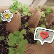 ヒメ日記 2025/06/27 09:37 投稿 磯部　まき Eureka！EGOIST～エゴイスト～-美とエロスの饗宴