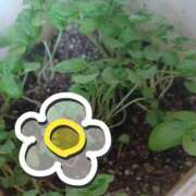 ヒメ日記 2025/07/05 12:39 投稿 磯部　まき Eureka！EGOIST～エゴイスト～-美とエロスの饗宴