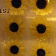 ヒメ日記 2025/08/06 09:47 投稿 磯部　まき Eureka！EGOIST～エゴイスト～-美とエロスの饗宴