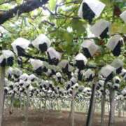 ヒメ日記 2025/08/29 10:59 投稿 磯部　まき Eureka！EGOIST～エゴイスト～-美とエロスの饗宴