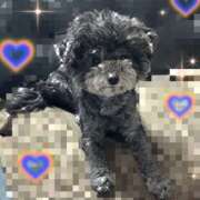 ヒメ日記 2025/02/25 14:42 投稿 羅々-らら【FG系列】 ほんとうの人妻 厚木店【FG系列】