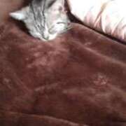 ヒメ日記 2025/03/18 08:08 投稿 みより 熟女の風俗最終章 高崎店