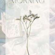 ヒメ日記 2025/10/24 17:17 投稿 みやび 玉乱☆痴（たまらんち）