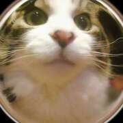 ヒメ日記 2024/12/14 15:02 投稿 磯部　まき 魅惑の官能アロマエステ　Eureka！八王子 ～エウレカ！～