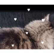 ヒメ日記 2024/12/15 14:32 投稿 磯部　まき 魅惑の官能アロマエステ　Eureka！八王子 ～エウレカ！～