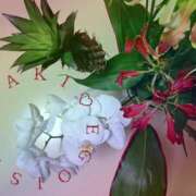 ヒメ日記 2025/02/08 10:51 投稿 磯部　まき 魅惑の官能アロマエステ　Eureka！八王子 ～エウレカ！～