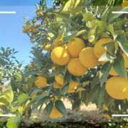 ヒメ日記 2025/02/23 17:17 投稿 磯部　まき 魅惑の官能アロマエステ　Eureka！八王子 ～エウレカ！～