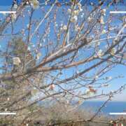 ヒメ日記 2025/02/27 11:07 投稿 磯部　まき 魅惑の官能アロマエステ　Eureka！八王子 ～エウレカ！～