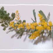 ヒメ日記 2025/03/08 12:12 投稿 磯部　まき 魅惑の官能アロマエステ　Eureka！八王子 ～エウレカ！～