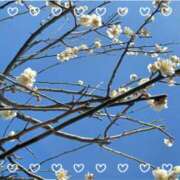 ヒメ日記 2025/03/20 10:54 投稿 磯部　まき 魅惑の官能アロマエステ　Eureka！八王子 ～エウレカ！～