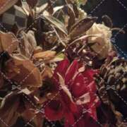 ヒメ日記 2025/03/20 17:39 投稿 磯部　まき 魅惑の官能アロマエステ　Eureka！八王子 ～エウレカ！～