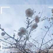 ヒメ日記 2025/03/23 02:19 投稿 磯部　まき 魅惑の官能アロマエステ　Eureka！八王子 ～エウレカ！～