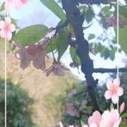 ヒメ日記 2025/04/01 09:54 投稿 磯部　まき 魅惑の官能アロマエステ　Eureka！八王子 ～エウレカ！～