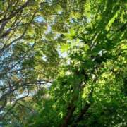 ヒメ日記 2025/04/11 08:32 投稿 磯部　まき 魅惑の官能アロマエステ　Eureka！八王子 ～エウレカ！～