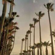 ヒメ日記 2025/04/20 00:55 投稿 磯部　まき 魅惑の官能アロマエステ　Eureka！八王子 ～エウレカ！～