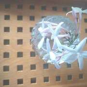 ヒメ日記 2025/05/01 15:35 投稿 磯部　まき 魅惑の官能アロマエステ　Eureka！八王子 ～エウレカ！～