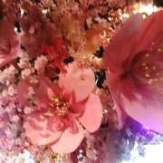 ヒメ日記 2025/05/07 14:52 投稿 磯部　まき 魅惑の官能アロマエステ　Eureka！八王子 ～エウレカ！～