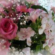 ヒメ日記 2025/05/29 16:15 投稿 磯部　まき 魅惑の官能アロマエステ　Eureka！八王子 ～エウレカ！～