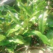 ヒメ日記 2025/06/21 13:52 投稿 磯部　まき 魅惑の官能アロマエステ　Eureka！八王子 ～エウレカ！～