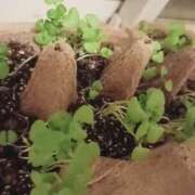 ヒメ日記 2025/07/05 11:59 投稿 磯部　まき 魅惑の官能アロマエステ　Eureka！八王子 ～エウレカ！～