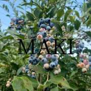 ヒメ日記 2025/07/26 22:36 投稿 磯部　まき 魅惑の官能アロマエステ　Eureka！八王子 ～エウレカ！～