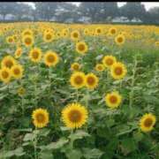 ヒメ日記 2025/08/01 12:13 投稿 磯部　まき 魅惑の官能アロマエステ　Eureka！八王子 ～エウレカ！～