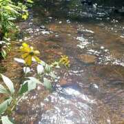 ヒメ日記 2025/08/21 12:11 投稿 磯部　まき 魅惑の官能アロマエステ　Eureka！八王子 ～エウレカ！～