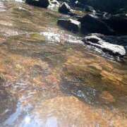 ヒメ日記 2025/08/24 14:32 投稿 磯部　まき 魅惑の官能アロマエステ　Eureka！八王子 ～エウレカ！～