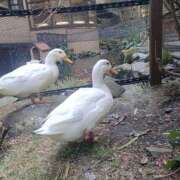 ヒメ日記 2025/09/03 12:29 投稿 磯部　まき 魅惑の官能アロマエステ　Eureka！八王子 ～エウレカ！～