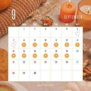 ヒメ日記 2025/09/02 22:23 投稿 みさと SMAT×SMAT（スマットスマット）