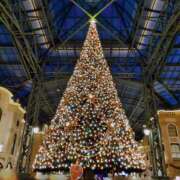 ヒメ日記 2024/12/25 13:57 投稿 るな フォーシーズン