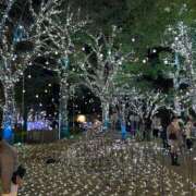 ヒメ日記 2024/12/14 09:37 投稿 美山ももよ 松戸人妻花壇