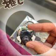 ヒメ日記 2025/02/17 23:06 投稿 美山ももよ 松戸人妻花壇