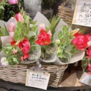 ヒメ日記 2025/02/24 16:05 投稿 美山ももよ 松戸人妻花壇