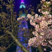 ヒメ日記 2025/03/01 20:21 投稿 美山ももよ 松戸人妻花壇