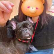 ヒメ日記 2025/03/09 13:16 投稿 美山ももよ 松戸人妻花壇