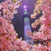 ヒメ日記 2025/03/13 22:48 投稿 美山ももよ 松戸人妻花壇