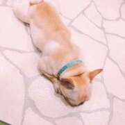 ヒメ日記 2025/03/20 02:11 投稿 美山ももよ 松戸人妻花壇