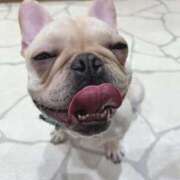 ヒメ日記 2025/03/20 11:30 投稿 美山ももよ 松戸人妻花壇