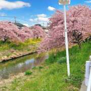 ヒメ日記 2025/03/21 02:14 投稿 美山ももよ 松戸人妻花壇