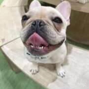 ヒメ日記 2025/03/23 16:01 投稿 美山ももよ 松戸人妻花壇