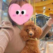 ヒメ日記 2025/05/07 17:22 投稿 美山ももよ 松戸人妻花壇