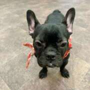 ヒメ日記 2025/05/08 21:50 投稿 美山ももよ 松戸人妻花壇