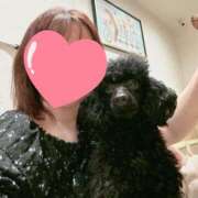 ヒメ日記 2025/05/14 12:05 投稿 美山ももよ 松戸人妻花壇