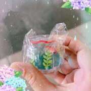 ヒメ日記 2025/05/18 15:06 投稿 美山ももよ 松戸人妻花壇