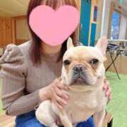 ヒメ日記 2025/05/31 17:06 投稿 美山ももよ 松戸人妻花壇