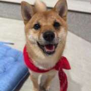 ヒメ日記 2025/06/21 21:17 投稿 美山ももよ 松戸人妻花壇