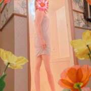 ヒメ日記 2025/07/22 23:25 投稿 美山ももよ 松戸人妻花壇